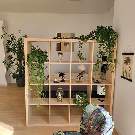 Straight-Up Fantastic Bright Apartment! オールフス エクステリア 写真