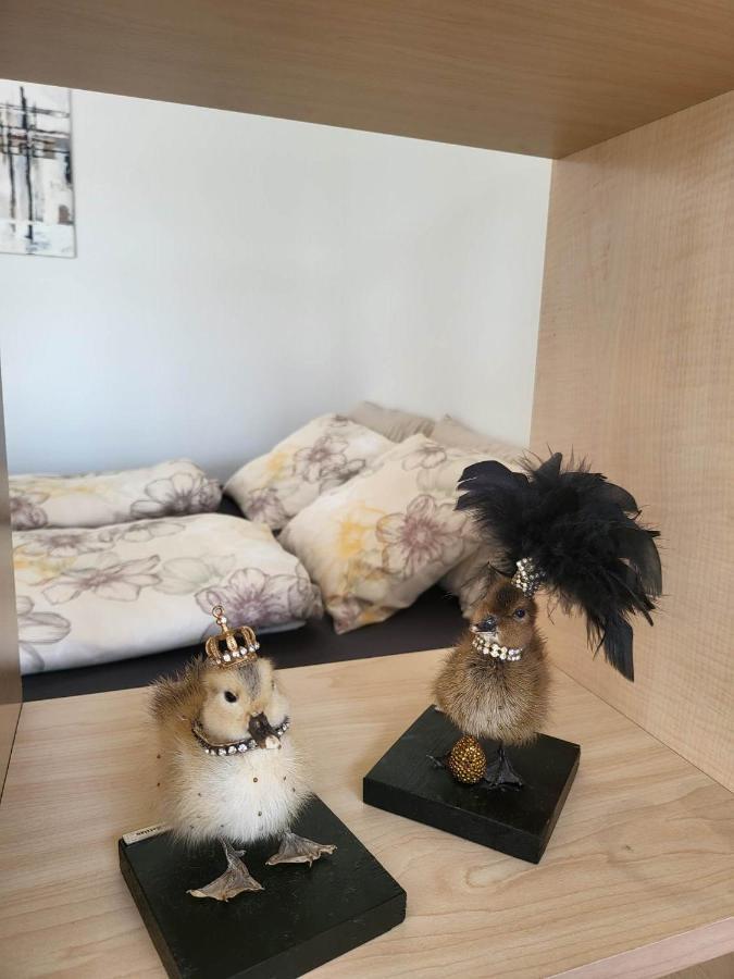 Straight-Up Fantastic Bright Apartment! オールフス エクステリア 写真