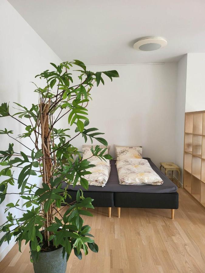 Straight-Up Fantastic Bright Apartment! オールフス エクステリア 写真